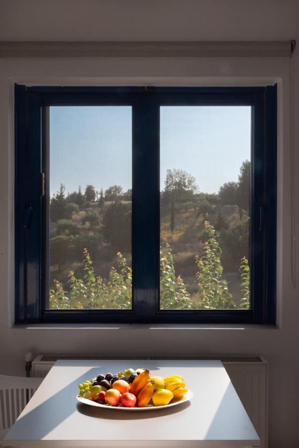 Villa Rodanthi Sivota ภายนอก รูปภาพ